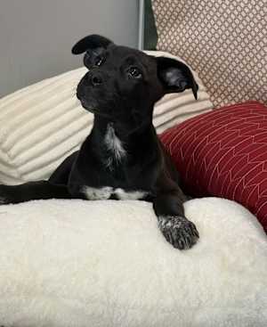 Liv~adopted! - Photo 1