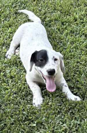 Petunia ~ meet me! - Photo 3