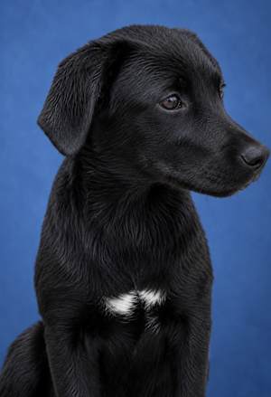 Fannie ~ meet me! - Photo 2