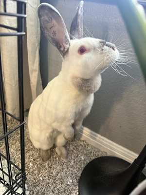Martha - Photo 3