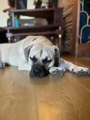 Cleo - Photo 2