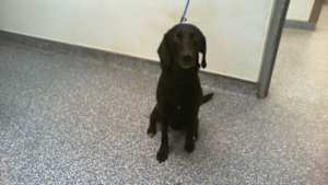 ZEUS - Photo 1