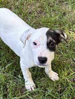 River Boat ~ meet me! - Photo 1