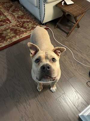 BABY GIRL - Photo 1