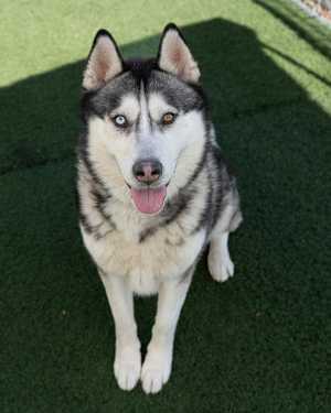 Max - Photo 3