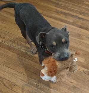 Gussy - Photo 2