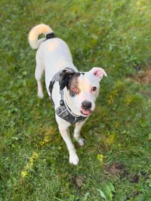 Blaze - Photo 2