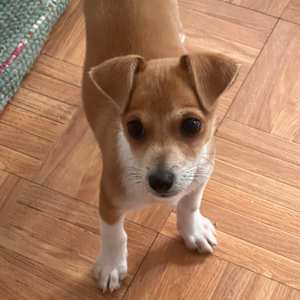 Buster - Photo 3