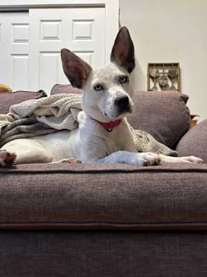 Lola ~ meet me! - Photo 3