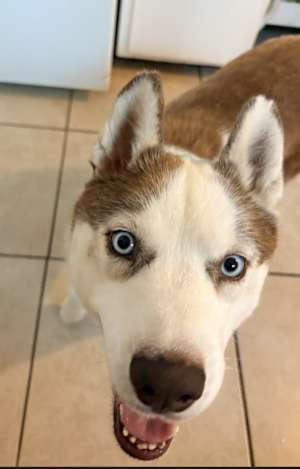 Colby Jack CP - Photo 4