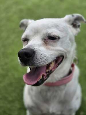 Bella - Photo 4