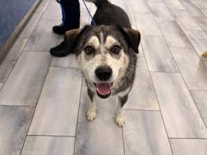 MYA - Photo 1