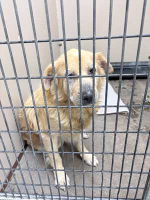 Reggie - Photo 3