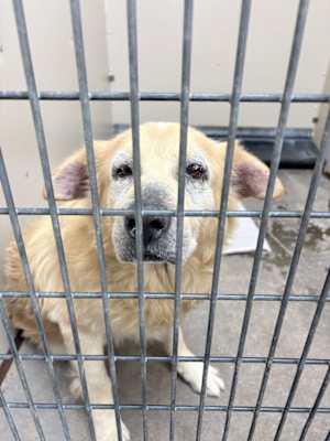 Reggie - Photo 4