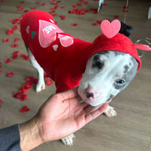 Truz - Photo 2