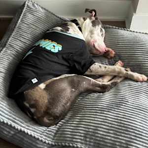 Truz - Photo 3