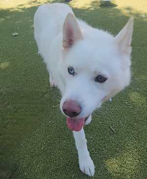 Mila Aka Jenna - Photo 4