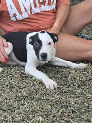 Cassius ~ meet me! - Photo 4