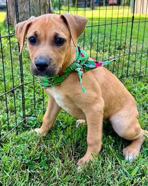 Mirabel~adopted! - Photo 1