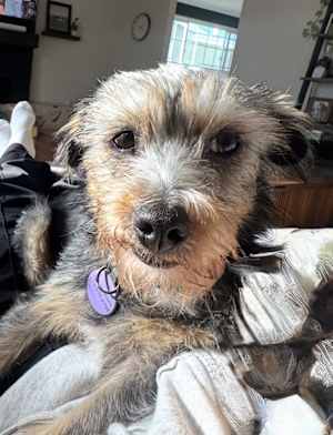 Winnie (formally Lunita) - Photo 2