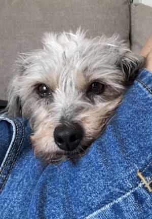 Winnie (formally Lunita) - Photo 3