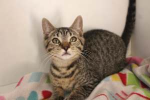 Cheech - Photo 4