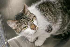 TUNA - Photo 1