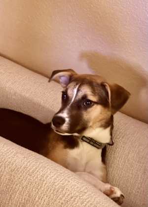 Booboo - Photo 2