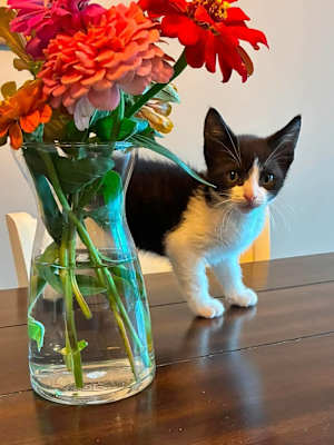 Javier - Photo 2