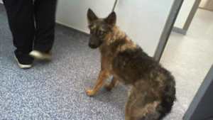 EVIE - Photo 1