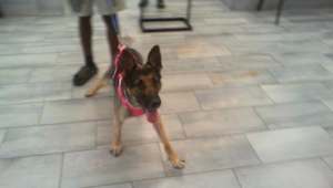 NOVA - Photo 1