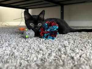 Baby - Photo 1
