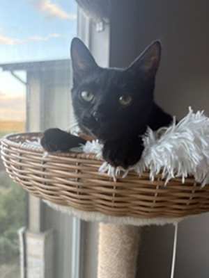 Baby - Photo 3