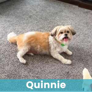 Quinnie - Photo 1