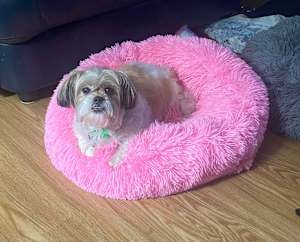 Quinnie - Photo 3