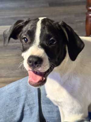 Bucky new pics/video - Photo 1