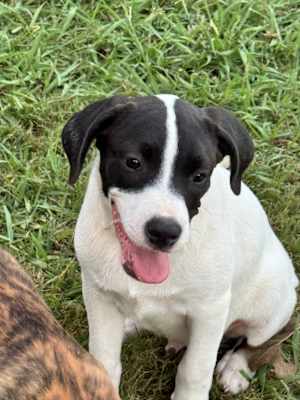 Bucky new pics/video - Photo 4