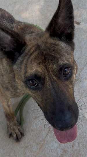 MARGAUX - Photo 1