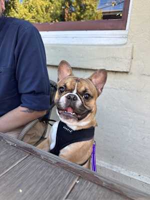 Frankie Says Relax - Photo 2