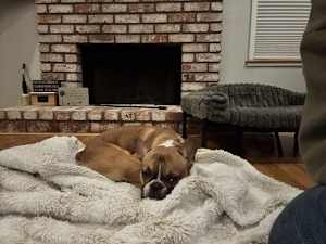 Frankie Says Relax - Photo 3