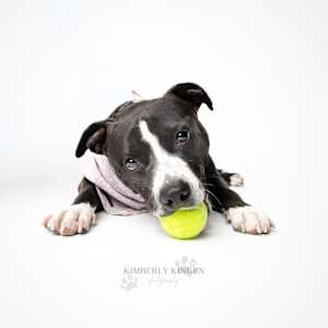 Aviva - Photo 1
