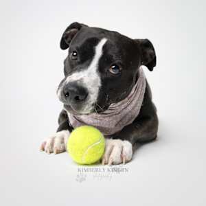 Aviva - Photo 4
