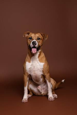 Barry - Photo 1