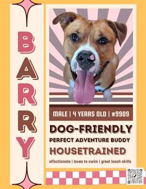 Barry - Photo 2