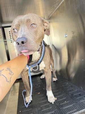 Otis - Photo 1