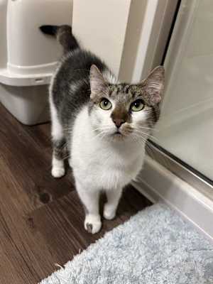 TUNA - Photo 1