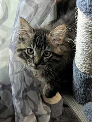 Buffy - Photo 2