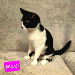 Maxine - Photo 3