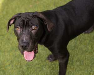 Vader - Photo 1