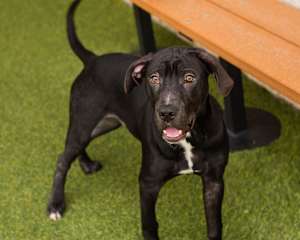 Vader - Photo 2